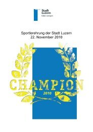 Broschre_Einzeln_Nov10.pdf - Stadt Luzern