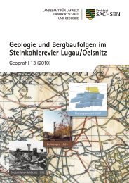 Geologie und Bergbaufolgen im Steinkohlerevier Lugau / Oelsnitz