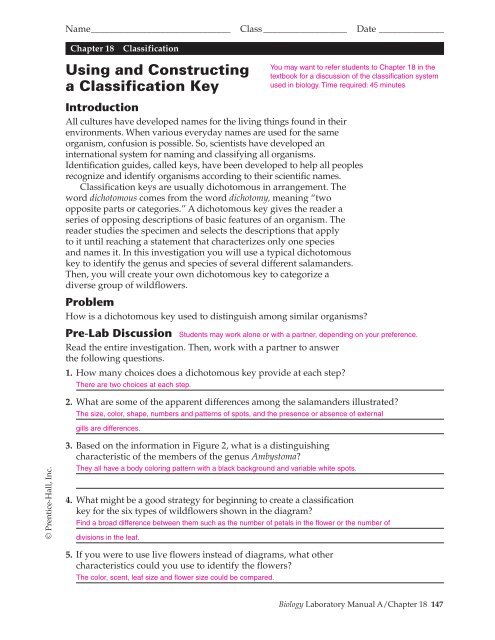 dichotomous-key-worksheet-answers-free-download-gambr-co