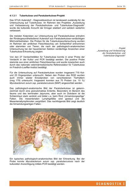 TIERGESUNDHEIT UND VERBRAUCHERSCHUTZ - STUA Aulendorf