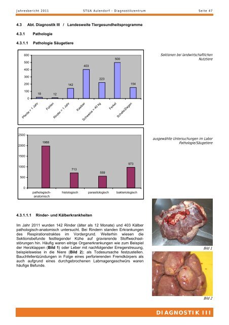 TIERGESUNDHEIT UND VERBRAUCHERSCHUTZ - STUA Aulendorf