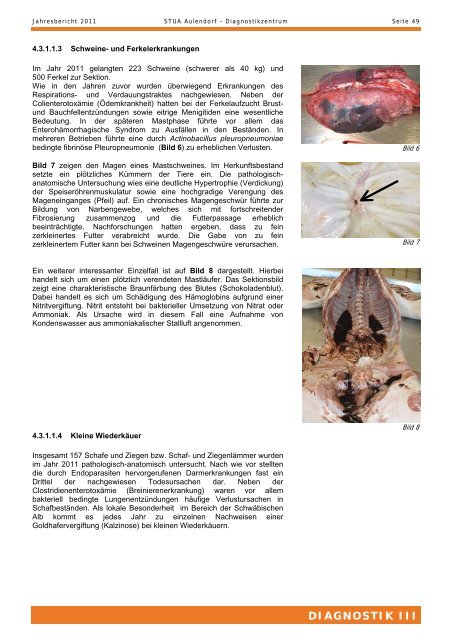 TIERGESUNDHEIT UND VERBRAUCHERSCHUTZ - STUA Aulendorf