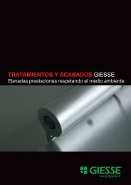 TRATAMIENTOS Y ACABADOS GIESSE
