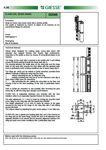 FLASH XXL DOOR HINGE