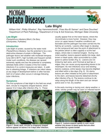 Late Blight - Michigan Potato Diseases