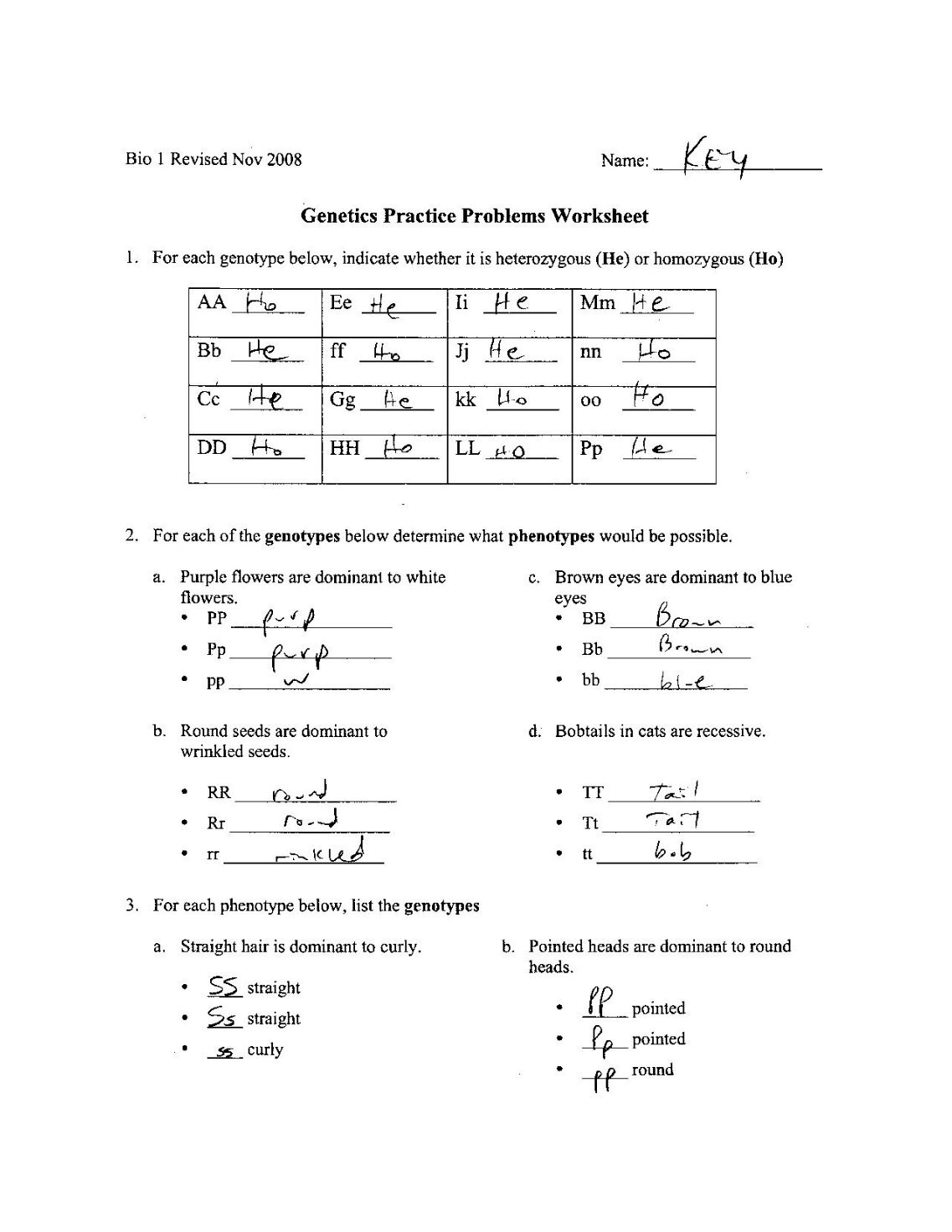 worksheet. Genetics Practice Problems Simple Worksheet. Grass Fedjp Worksheet Study Site