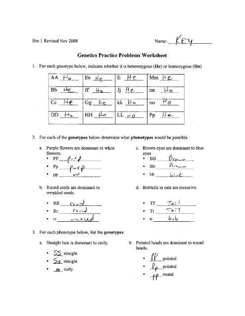 Genetics practice problems worksheet key.ppt