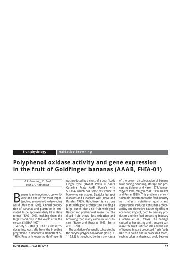 Polyphenol oxidase activity and gene expression in the fruit ... - Musalit