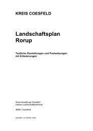 Landschaftsplan Rorup - Kreis Coesfeld
