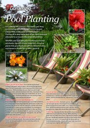 Pool Planting