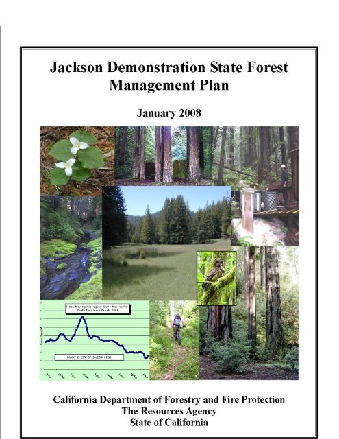 PDF) Bird species that occupy river edge in continuous forest tend to be  less sensitive to forest fragmentation