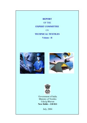 REPORT OF THE EXPERT COMMITTEE ON TECHNICAL ... - smallB