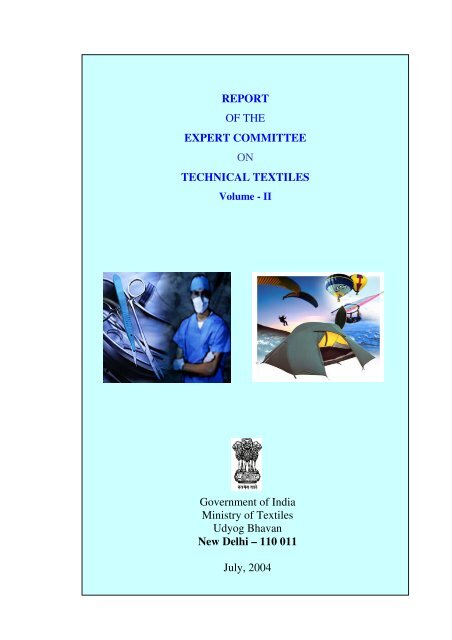 REPORT OF THE EXPERT COMMITTEE ON TECHNICAL ... - smallB