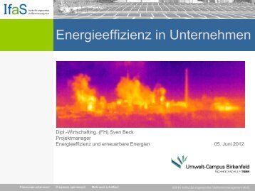 Energieeffizienz in Unternehmen, Ifas Dipl.-Wirtschafting. (FH) Sven