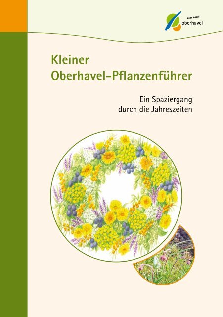 Kleiner Oberhavel-Pflanzenführer - Landkreis Oberhavel