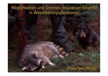 Präsentation als PDF - Projekt Waschbär