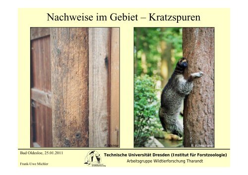 Präsentation als PDF - Projekt Waschbär