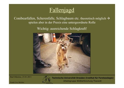 Präsentation als PDF - Projekt Waschbär