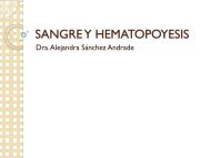 SANGRE_HEMATOPOYESIS