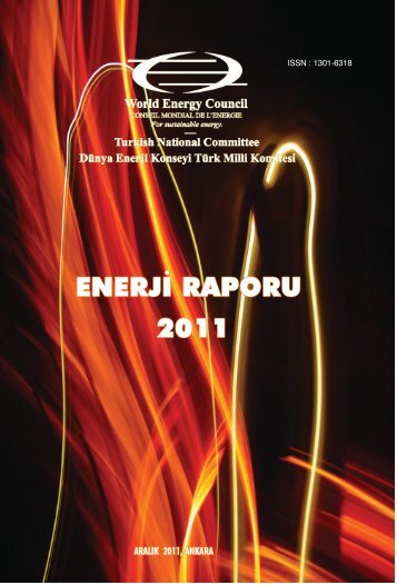 enerjiraporu2012