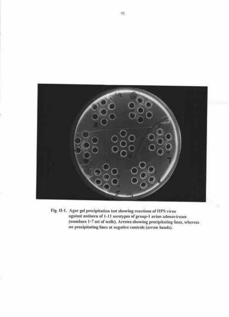 HYDROPXRICAru)II'M SYI{DROME (ANGARA DISEASE) IN ...