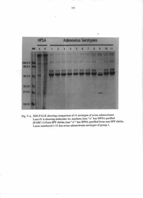 HYDROPXRICAru)II'M SYI{DROME (ANGARA DISEASE) IN ...