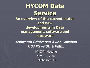 HYCOM Data Service