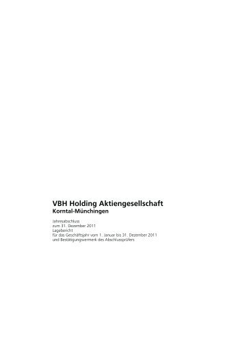Jahresabschluss der VBH Holding AG