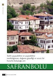 Gezi / Safranbolu