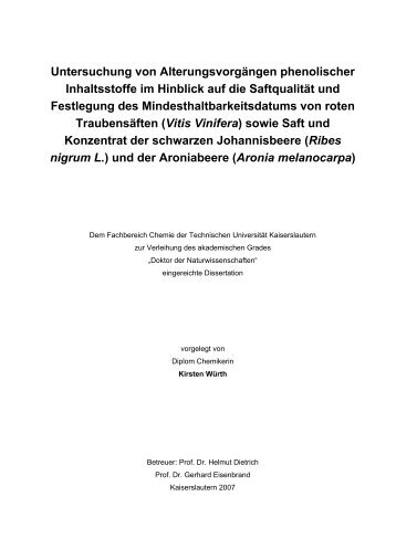 Dokument_1.pdf (2518 KB) - KLUEDO - Universität Kaiserslautern