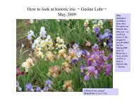 How to look at historic iris ~ Gesine Lohr - Historic Iris Preservation ...