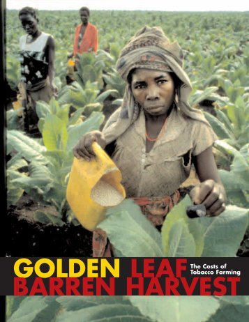 GOLDEN LEAF BARREN HARVEST