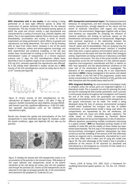 Timing, hosts and locations of (grouped) events of NanoImpactNet