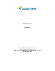 RAPPORT DE GESTION EXERCICE 2009 ... - CGG Veritas