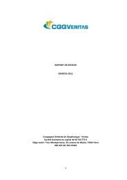 RAPPORT DE GESTION EXERCICE 2011 ... - CGG Veritas