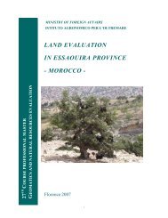 land evaluation in essaouira province - morocco - Istituto ...