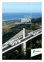 Lafarge 2008 Annual Report