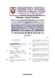tribunal constitucional - DIRNEA Dirección Nacional de los Espacios ...