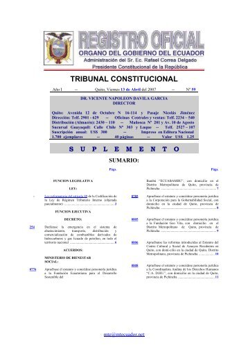 tribunal constitucional - DIRNEA Dirección Nacional de los Espacios ...