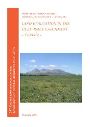 land evaluation in the oued rmel catchment - tunisia - Istituto ...